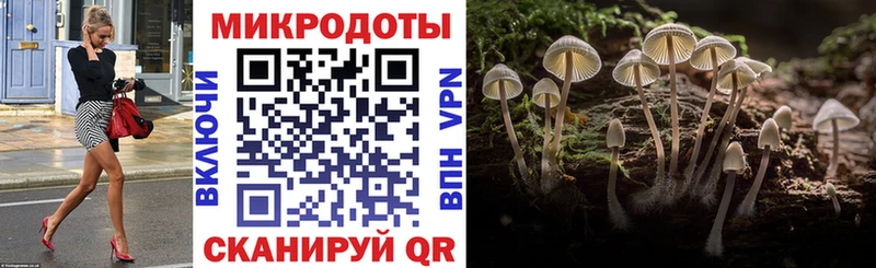 Псилоцибиновые грибы мухоморы  Купить закладки  Усть-Кут 